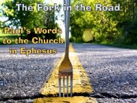 Fork in the Road 1